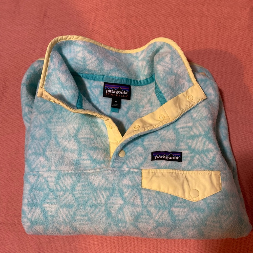 Patagonia Synchilla Button Up Pullover - image 1